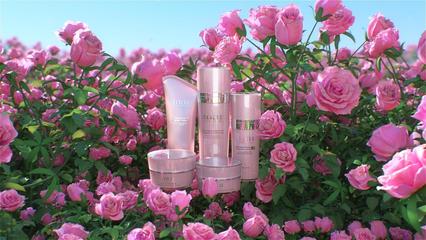 玫瑰花與三維場景 Skycaier文教用品的創(chuàng)意融合